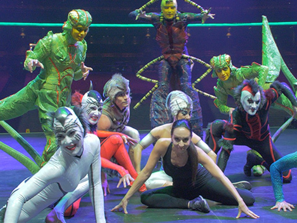 What it Takes To Be a Part of Cirque du Soleil’s OVO