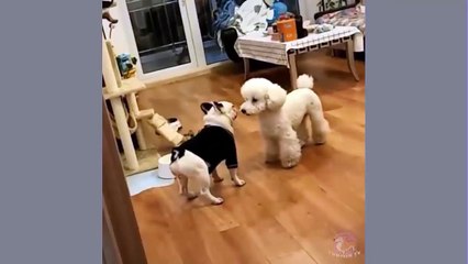 Okanegahosii Videos Dailymotion