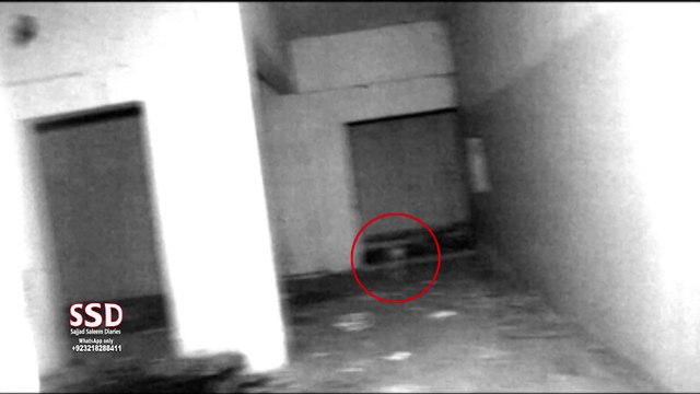 SSD 551 | White white baby goats or childrens of Jinnaat.? | ssd551 with English Subtitle | woh kya