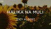 Joey Albert - Halika Na Muli (Official Lyric Video)