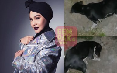 Asalnya 'street dog'- Anjing jadi penjaga depan rumah Umie Aida