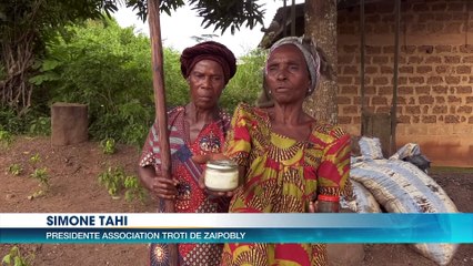 Agroforesterie : le Makoré et l'Akpi, l'autre richesse des paysans (Eco plus)