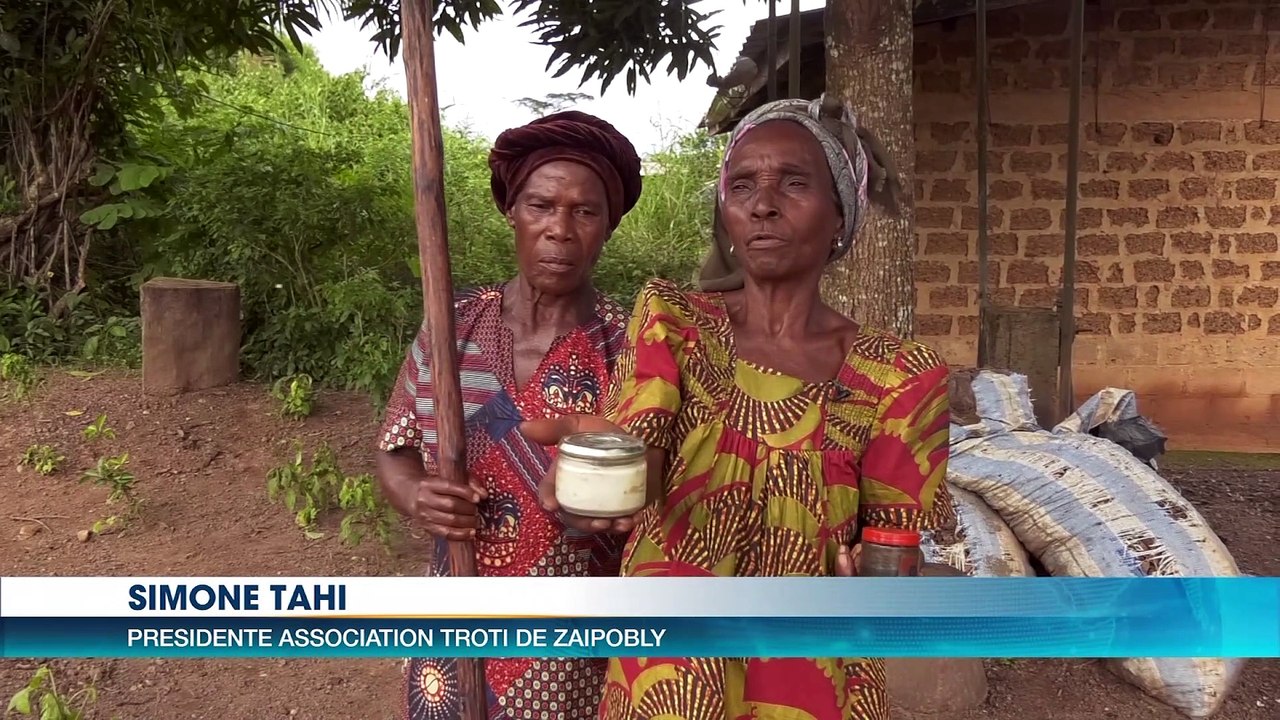 Agroforesterie : le Makoré et l'Akpi, l'autre richesse des paysans (Eco plus)