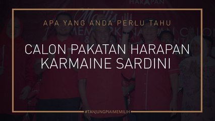 #Tanjung Piai Memilih: Info Calon Pakatan Harapan