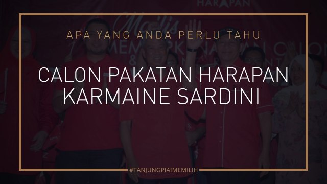 #Tanjung Piai Memilih: Info Calon Pakatan Harapan