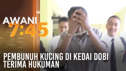 Pembunuh kucing di kedai dobi terima hukuman