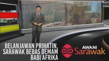 AWANI Sarawak [05/11/2019] - Belanjawan prihatin, Sarawak bebas demam babi Afrika