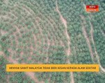 Minyak sawit Malaysia tidak beri kesan kepada alam sekitar