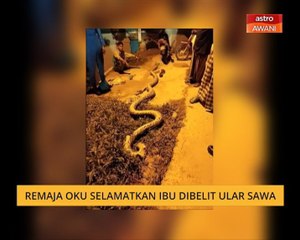 Remaja OKU selamatkan ibu dibelit ular sawa