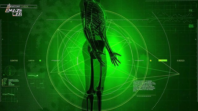 Humans Are Constantly Evolving and This Extra Artery Is Proof of That!