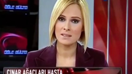 Erdoğan kanserli çınar ağaçlarının kesiminden İBB'yi sorumlu tuttu, Gezi'yi hedef aldı: Hasta ağaçlar 2007'de de kesilmiş