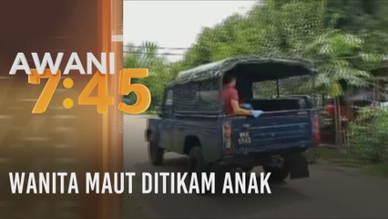 Wanita maut ditikam anak