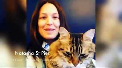 Les stars se mobilisent pour 30 millions d'amis