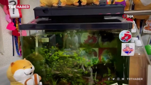 Japonya'da 7,3 büyüklüğünde deprem