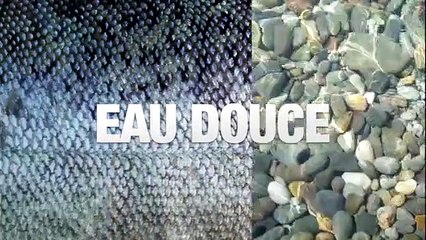 Pêcheurs en herbe - Le Barbeau