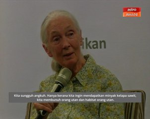 Hentikan pembakaran hutan demi penanaman kelapa sawit! -Jane Goodall