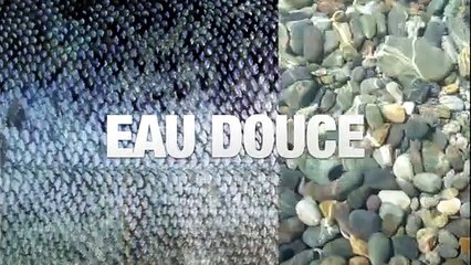 24 Heures chrono pêche