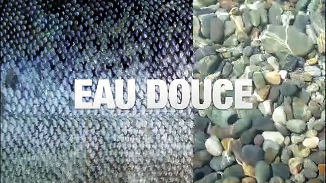 24 Heures chrono pêche