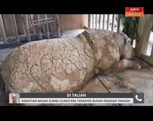 Kematian Iman perlu dilihat dalam konteks lebih besar