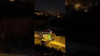 Son dakika haberi: Beykoz'da çöp konteynerinde 19 ölü köpek bulundu