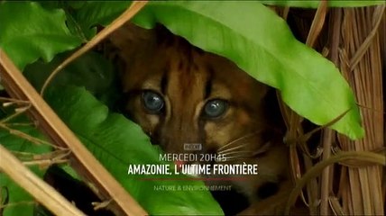 AMAZONIE L'ULTIME FRONTIERE SCIENCE ET VIE TV - 27/01