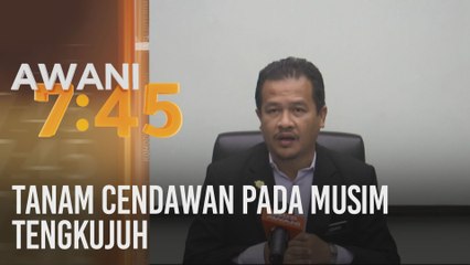 Tanam cendawan pada musim tengkujuh