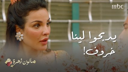 قرينا فاتحة التوفيق"..أنس قرر يكمل نص دينه مع زهرة من غير علمها..شوفوا ردها وخفة دمها" 