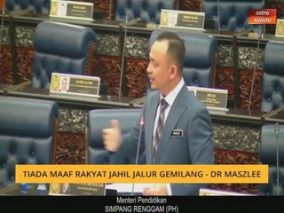 Tiada maaf rakyat jahil Jalur Gemilang - Dr Maszlee