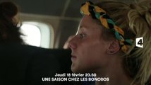 une saison chez les bonobos France 4- 18 02 16