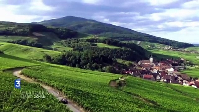 Le Sang de la vigne - Vengeances tardives en Alsace