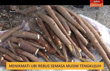 Menikmati ubi rebus semasa musim tengkujuh