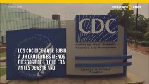 CDC dice que el riesgo de virus en los crucero es moderado