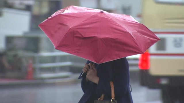 [날씨] 전국 봄비...제주 100mm↑, 강원 산간 '대설주의보' / YTN