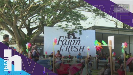 hLive! - Konsert 'Picnic In The Farm' sebelah ladang lembu, Farm Fresh cipta sejarah tersendiri!