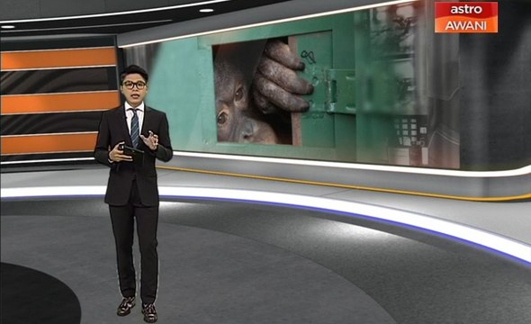 AWANI 7:45 [20/12/2019]: Sumpah laknat, dikebumi satu liang lahad & Sidang Kemuncak KL