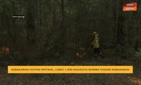 Kebakaran hutan kritikal, lebih 1,300 anggota bomba padam kebakaran