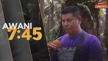 Harga sawit pulih, berita gembira buat peneroka