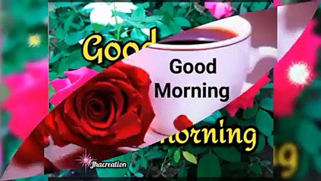 Good Morning Trending Whatsapp