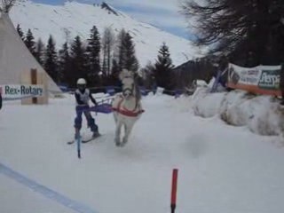 Championnat de France de ski joering 2008