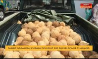 MAQIS gagalkan cubaan seludup 200 biji kelapa ke Thailand
