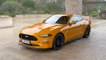 2022 Ford Mustang Design Preview in Orange