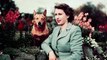 Labour MP 'particularly enjoyed' dog food intended for Queen's corgis, royal author says