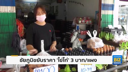 ชัยภูมิขยับราคา ’ไข่ไก่’ 3 บาท/แผง ปรับขึ้นต่อเนื่อง