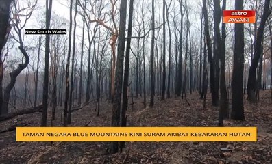 Taman Negara Blue Mountains kini suram akibat kebakaran hutan
