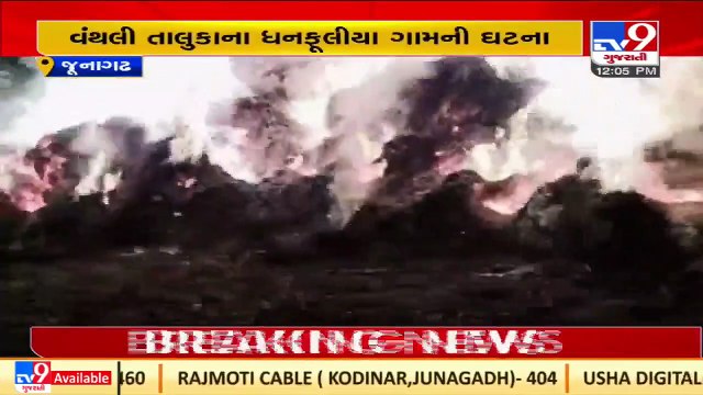Heaps of gram catched fire in vanthi's viilage, crops of around 1 lakh destroyed _ Junagadh _TV9News