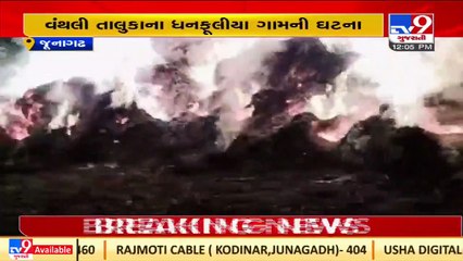 Heaps of gram catched fire in vanthi's viilage, crops of around 1 lakh destroyed _ Junagadh _TV9News