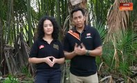 AWANI Pagi: Pokok nipah sumber rezeki alam