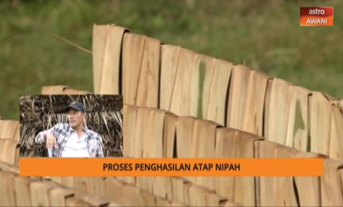 Ini cara membuat atap nipah