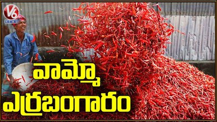 Desi Mirchi Price Hits All Time Record In Warangal Enumamula Market _ V6 News