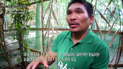 세계테마기행 - 따뜻해서 좋아, 아시아- 신기해서 좋아, 물의 나라_#001